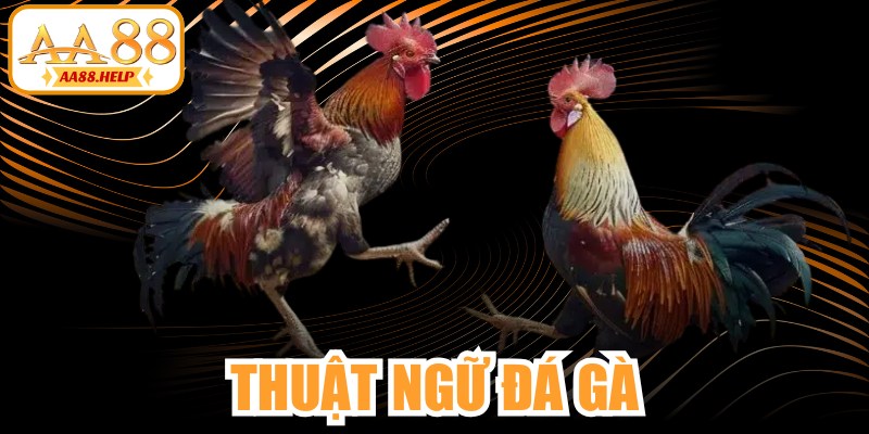 Thuật Ngữ Đá Gà